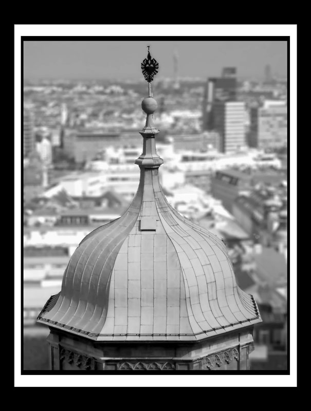 DCP_0394dFlat8x10-bw -matted