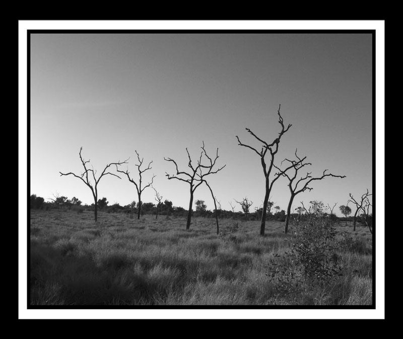 DCP_0931a-matted