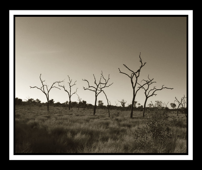 DCP_0931b-matted