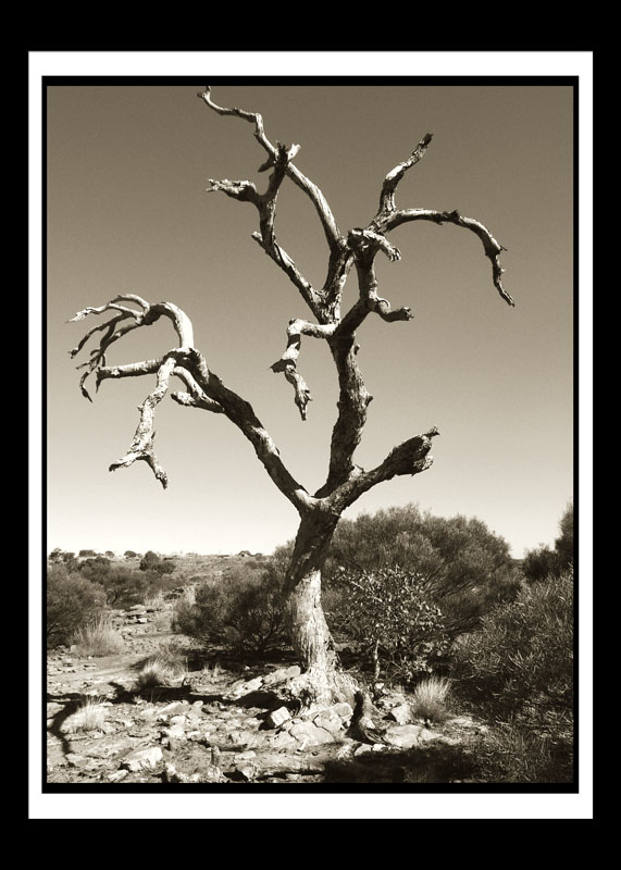 DCP_1171a-bw2-matted