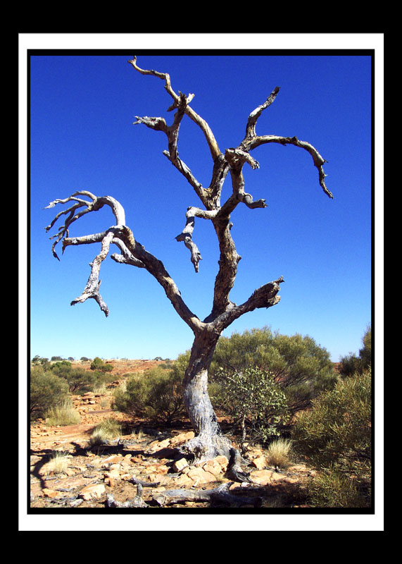 DCP_1171a-matted