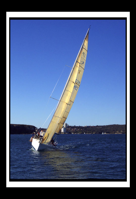 DCP_1355a-matted