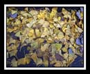 DCP_0865-matted