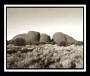 DCP_10590b-bw-matted