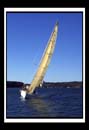 DCP_1355a-matted