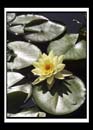 DCP_2929a-matted
