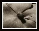 DCP_2946a-bw2-matted