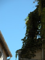 DSCN4857 