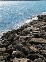 DSCN4912 