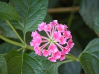 DSCN4948 