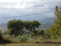 DSCN4717 