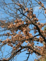DSCN4719 