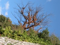 DSCN4720 