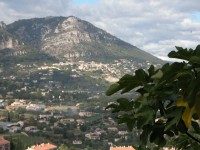 DSCN4736 