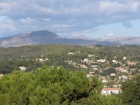 DSCN4818