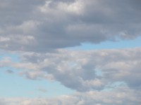 DSCN4822