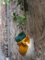 DSCN4824