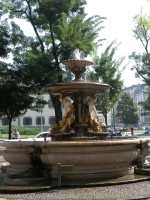 DSCN5014 