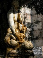 DSCN5016