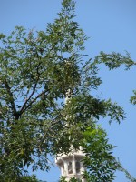 DSCN5031 