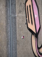 DSCN5101 