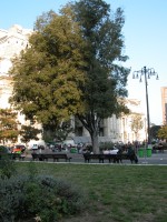 DSCN5203 