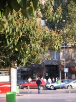 DSCN5228 