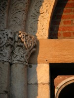 DSCN5267 