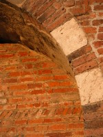 DSCN5271 