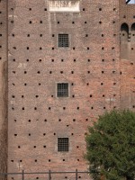 DSCN5314 