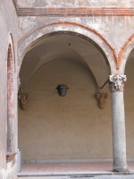 DSCN5335