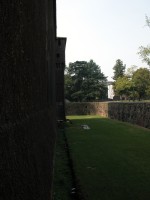 DSCN5361 