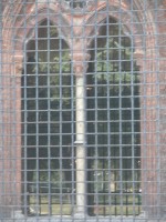 DSCN5366 