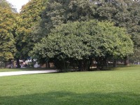 DSCN5370 