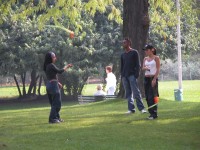 DSCN5379 