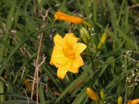 DSCN5384 