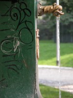 DSCN5387 