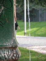 DSCN5390