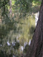 DSCN5396 