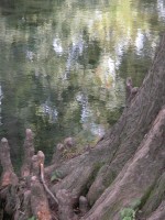 DSCN5397 
