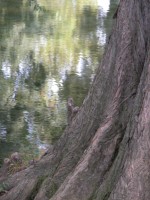 DSCN5398 