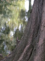 DSCN5399 