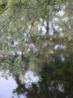 DSCN5402 