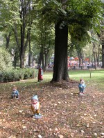 DSCN5463 