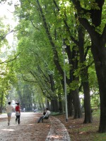 DSCN5484 