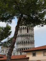 DSCN5537 