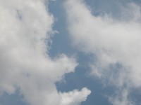 DSCN5558 
