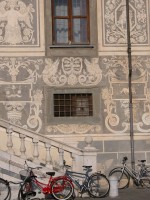 DSCN5609 